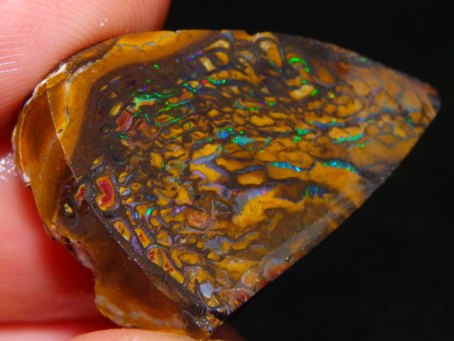Nice Rough/Sliced Koroit Opal Parcel 906cts Queensland Australia Nuts/Pattern/Fires