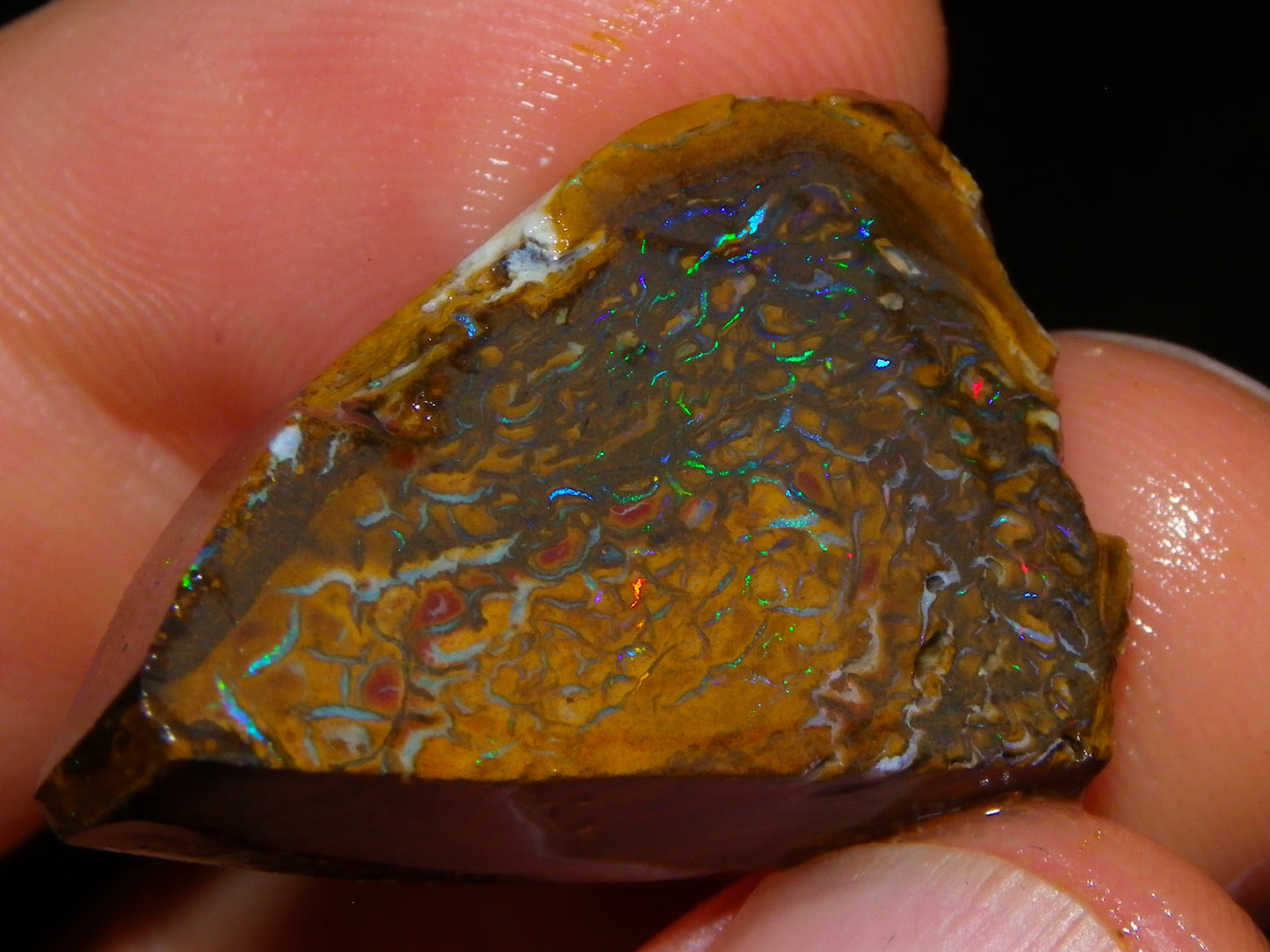 Nice Rough/Sliced Koroit Opal Parcel 906cts Queensland Australia Nuts/Pattern/Fires