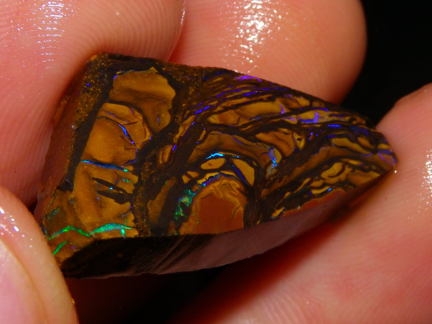 Nice Rough/Sliced Koroit Opal Parcel 906cts Queensland Australia Nuts/Pattern/Fires
