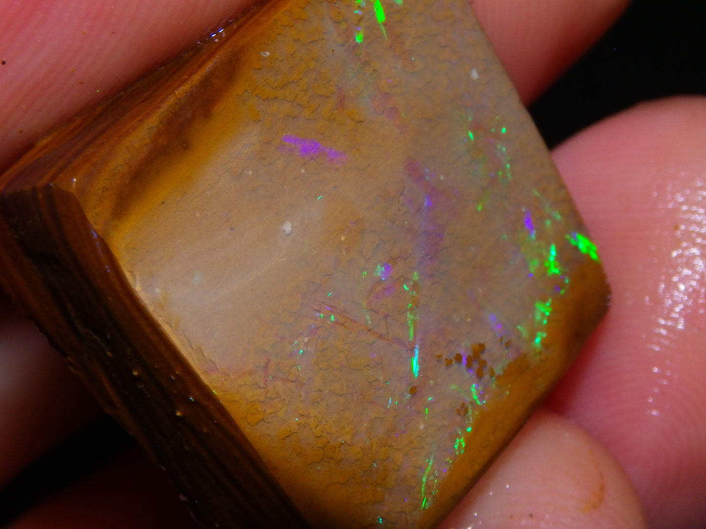 Nice Rough/Sliced Koroit Opal Parcel 906cts Queensland Australia Nuts/Pattern/Fires