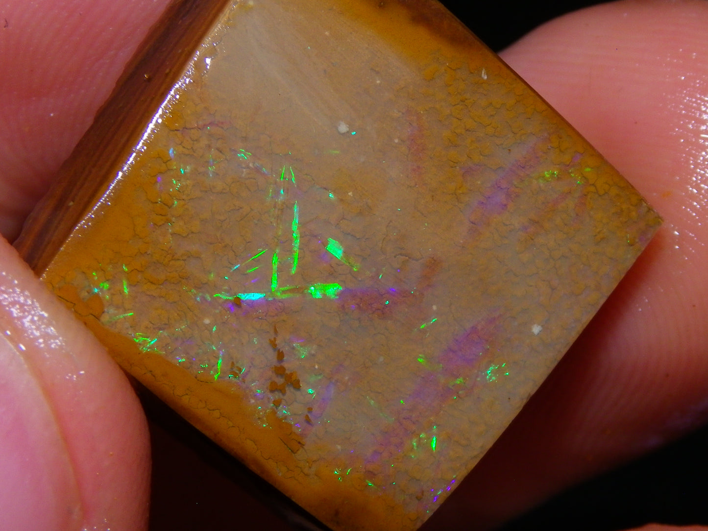 Nice Rough/Sliced Koroit Opal Parcel 906cts Queensland Australia Nuts/Pattern/Fires