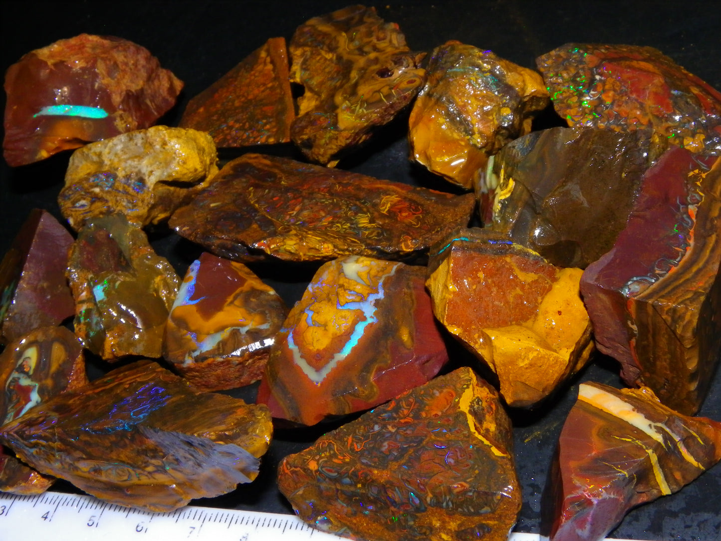 Nice Larger Rough/Sliced Koroit Opal Parcel 2645cts Lots of Patterns/Fires Australia