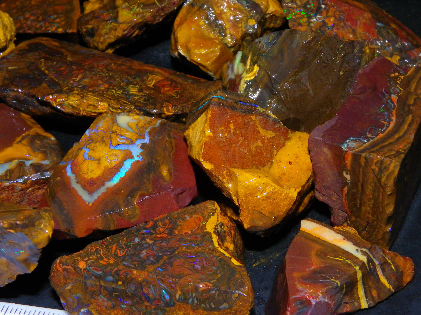 Nice Larger Rough/Sliced Koroit Opal Parcel 2645cts Lots of Patterns/Fires Australia