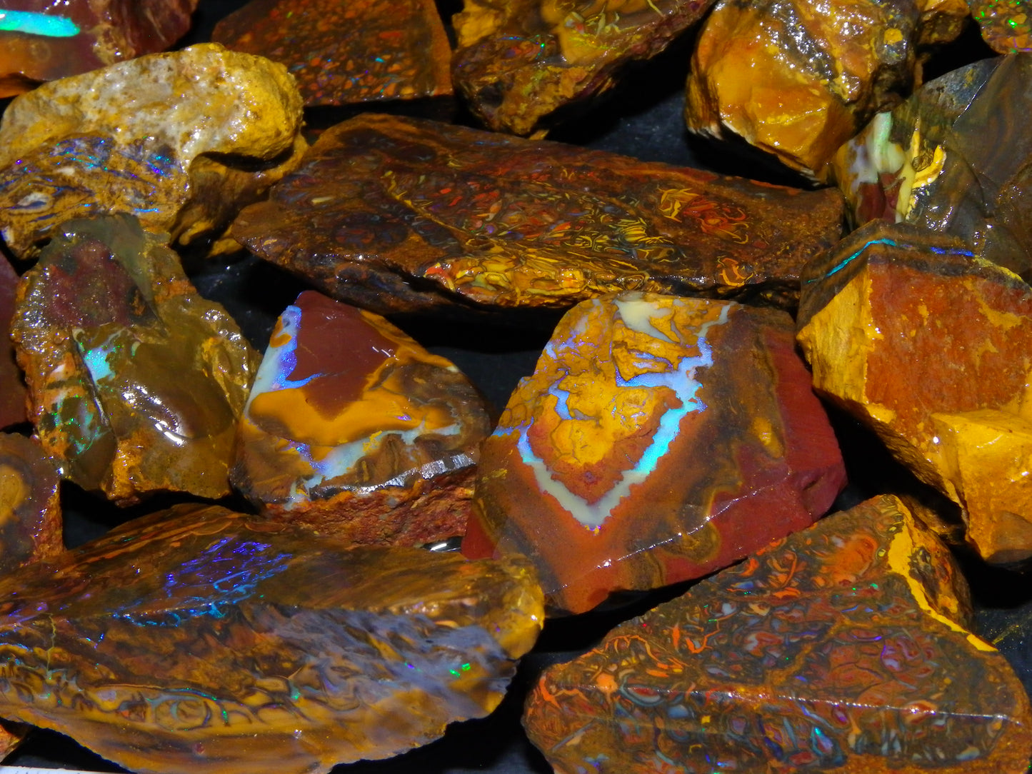 Nice Larger Rough/Sliced Koroit Opal Parcel 2645cts Lots of Patterns/Fires Australia