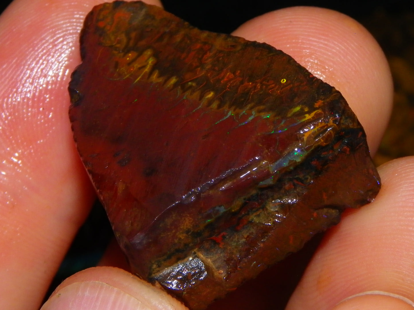 Nice Larger Rough/Sliced Koroit Opal Parcel 2645cts Lots of Patterns/Fires Australia