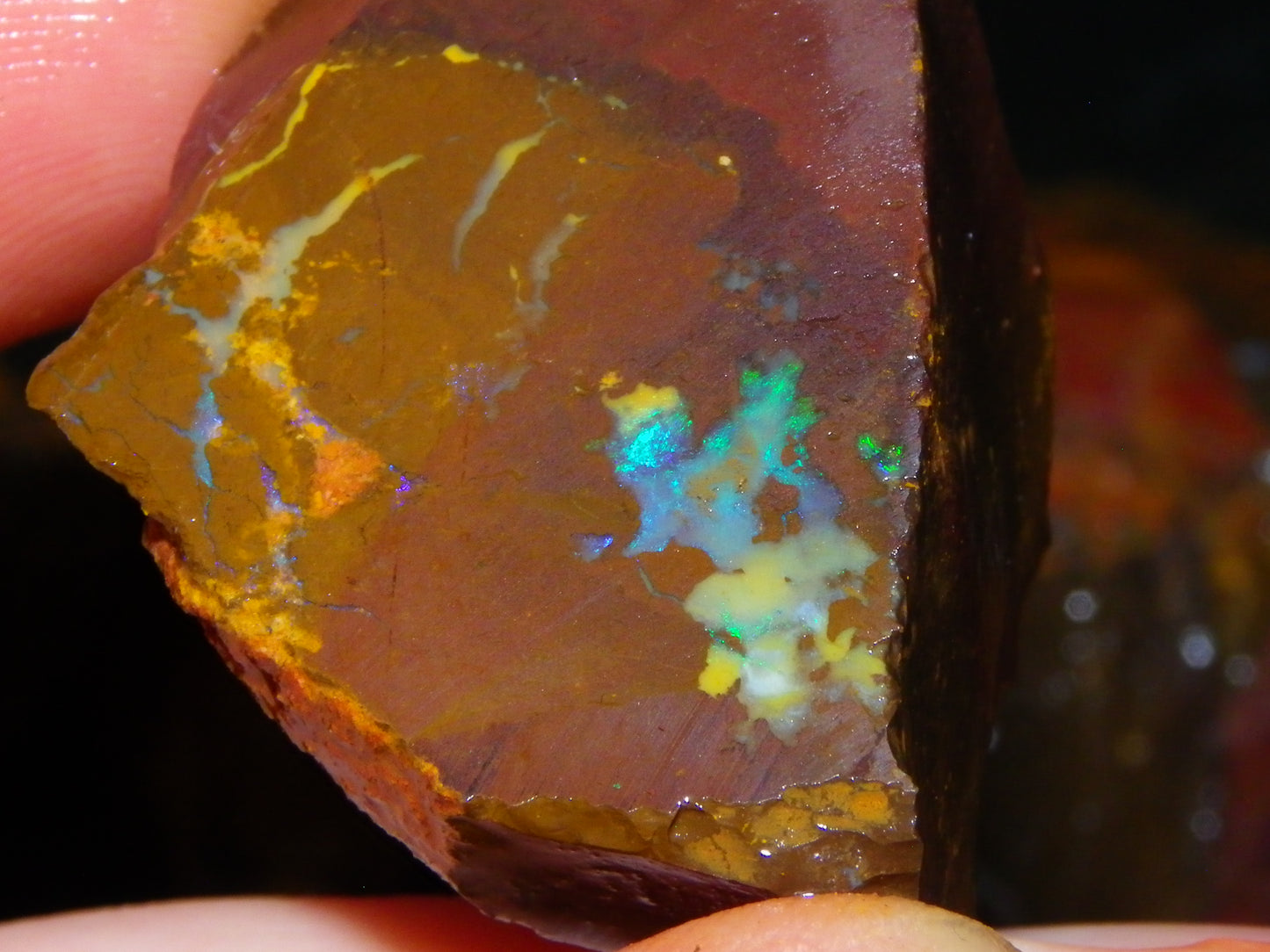 Nice Larger Rough/Sliced Koroit Opal Parcel 2645cts Lots of Patterns/Fires Australia
