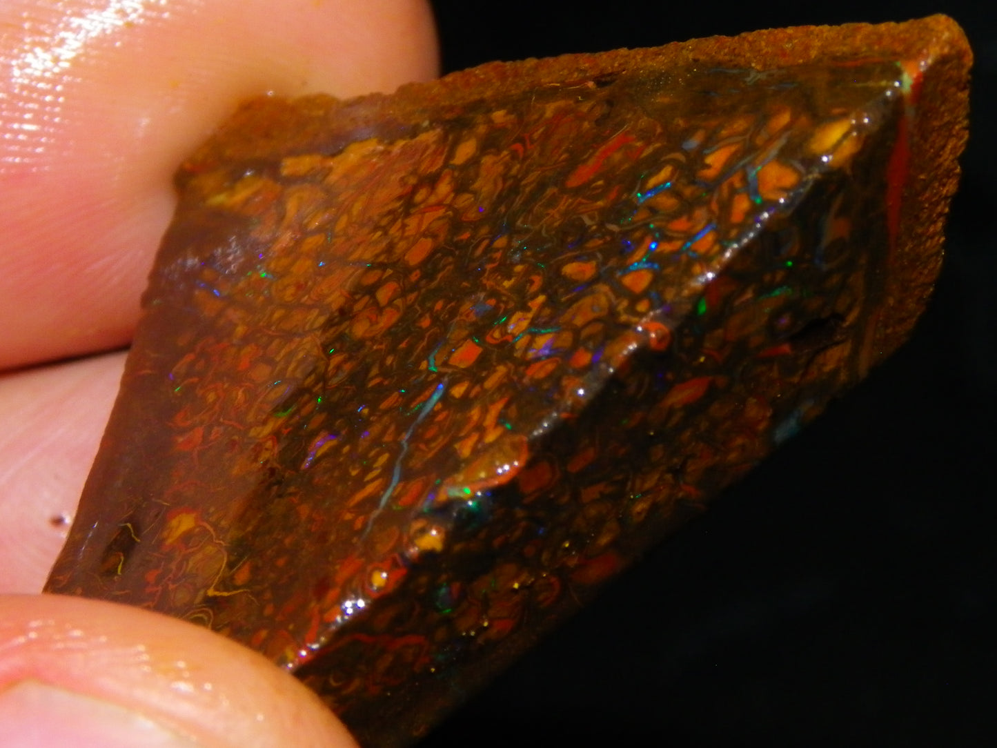 Nice Larger Rough/Sliced Koroit Opal Parcel 2645cts Lots of Patterns/Fires Australia