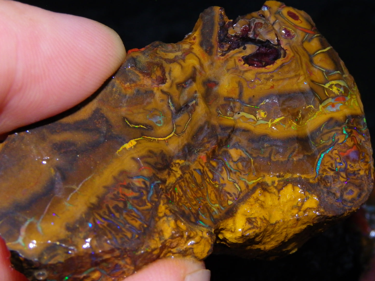 Nice Larger Rough/Sliced Koroit Opal Parcel 2645cts Lots of Patterns/Fires Australia