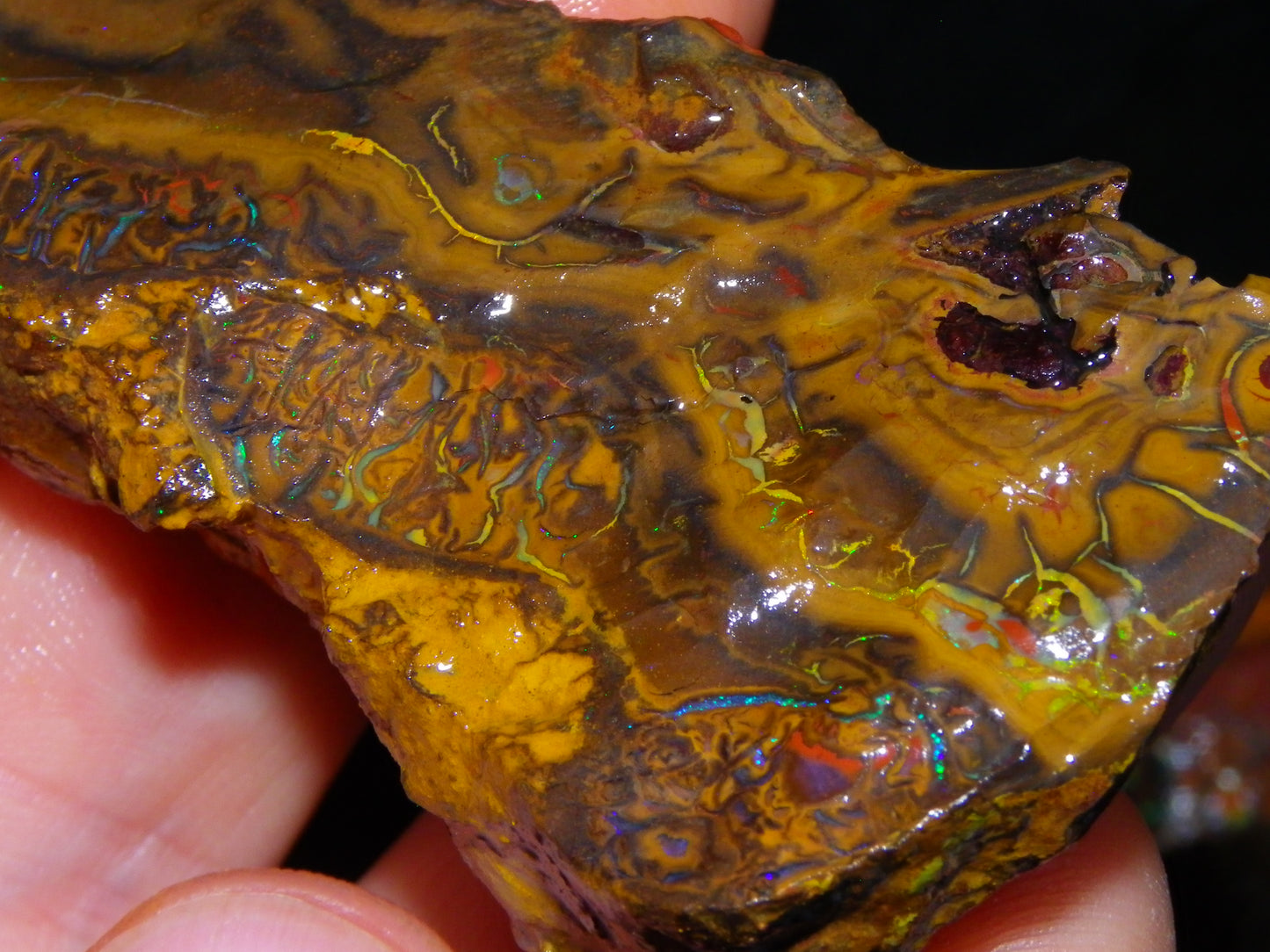 Nice Larger Rough/Sliced Koroit Opal Parcel 2645cts Lots of Patterns/Fires Australia