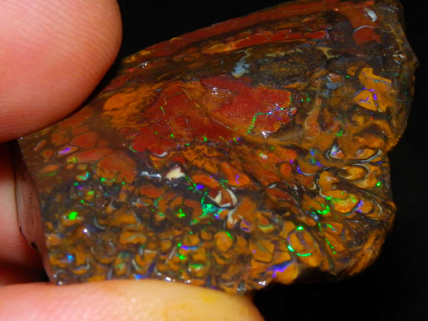 Nice Larger Rough/Sliced Koroit Opal Parcel 2645cts Lots of Patterns/Fires Australia