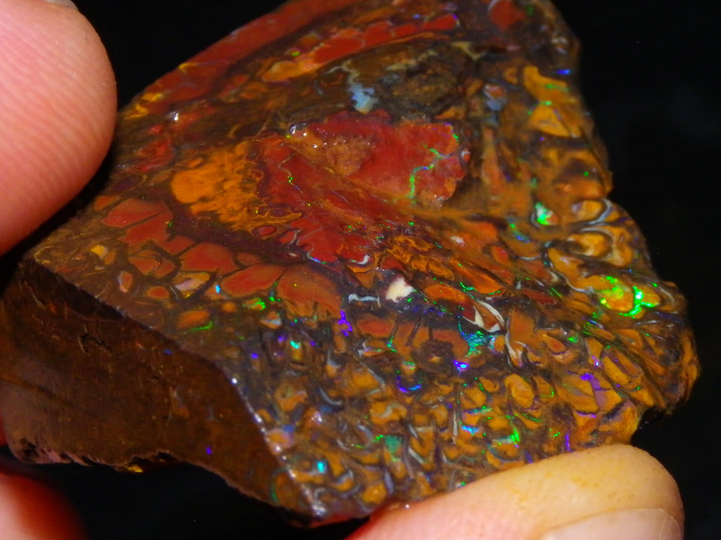 Nice Larger Rough/Sliced Koroit Opal Parcel 2645cts Lots of Patterns/Fires Australia