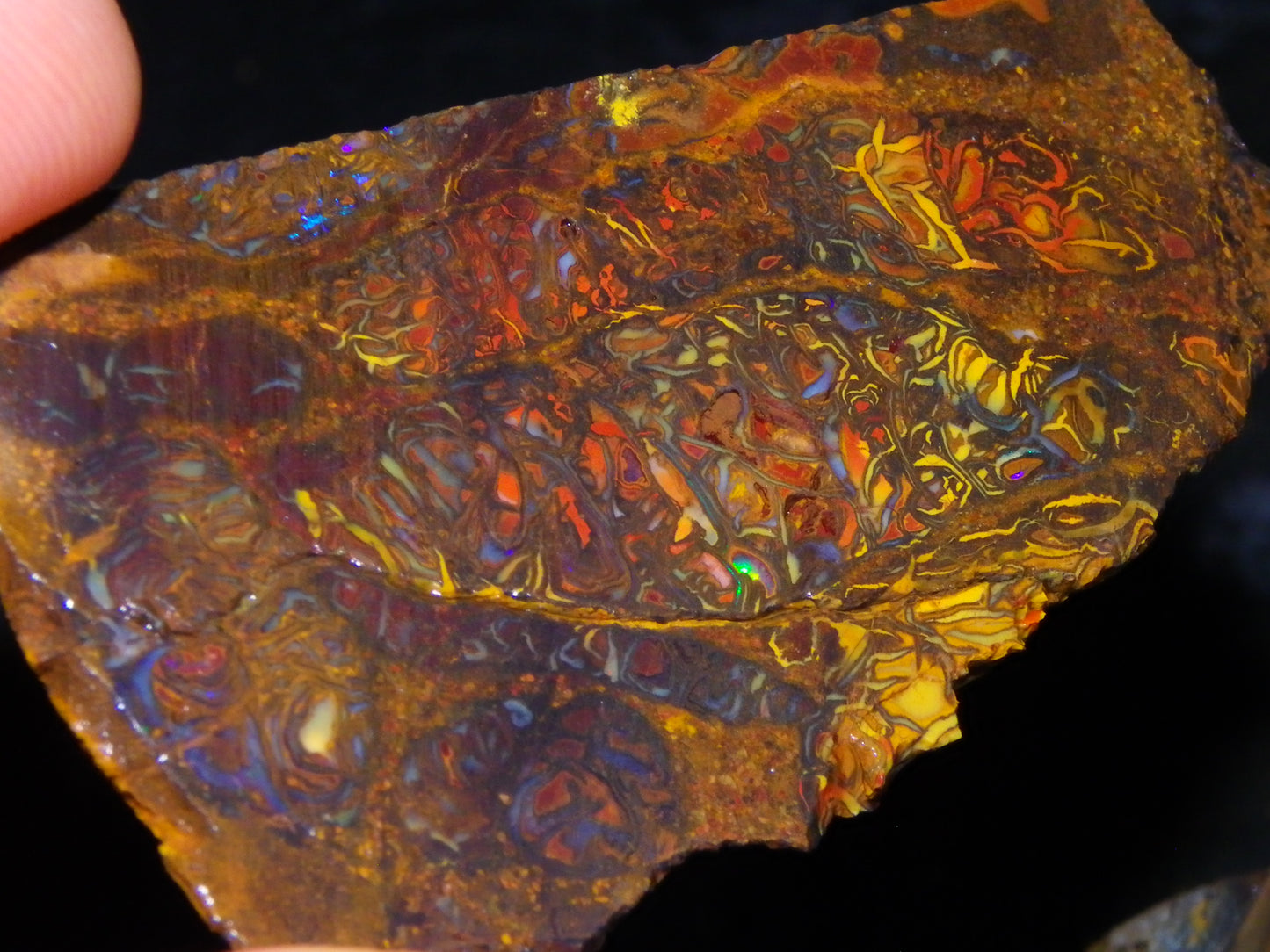 Nice Larger Rough/Sliced Koroit Opal Parcel 2645cts Lots of Patterns/Fires Australia