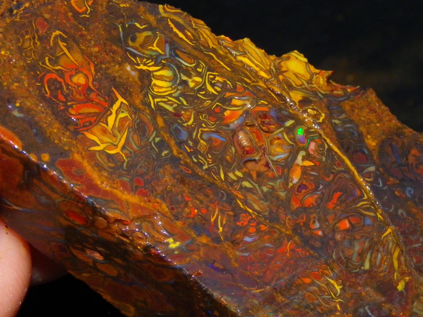 Nice Larger Rough/Sliced Koroit Opal Parcel 2645cts Lots of Patterns/Fires Australia