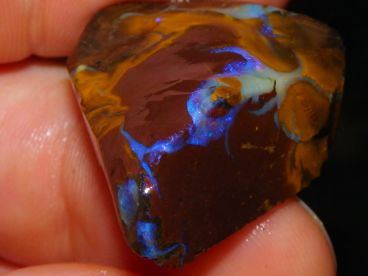 Nice Larger Rough/Sliced Koroit Opal Parcel 2645cts Lots of Patterns/Fires Australia