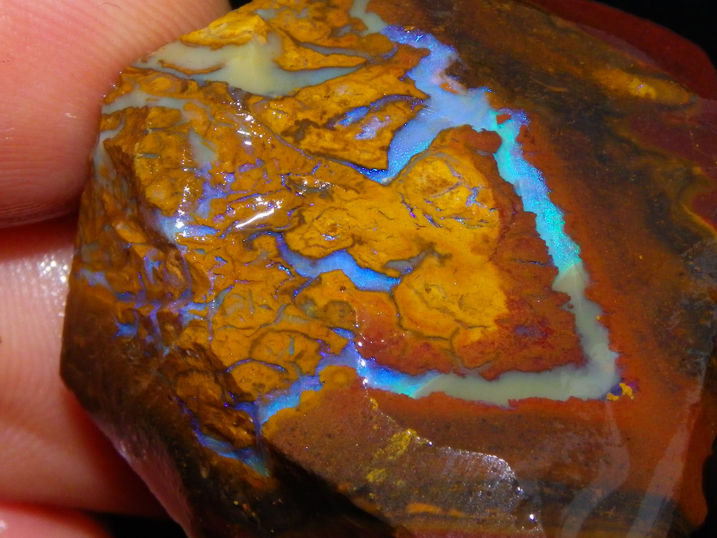 Nice Larger Rough/Sliced Koroit Opal Parcel 2645cts Lots of Patterns/Fires Australia