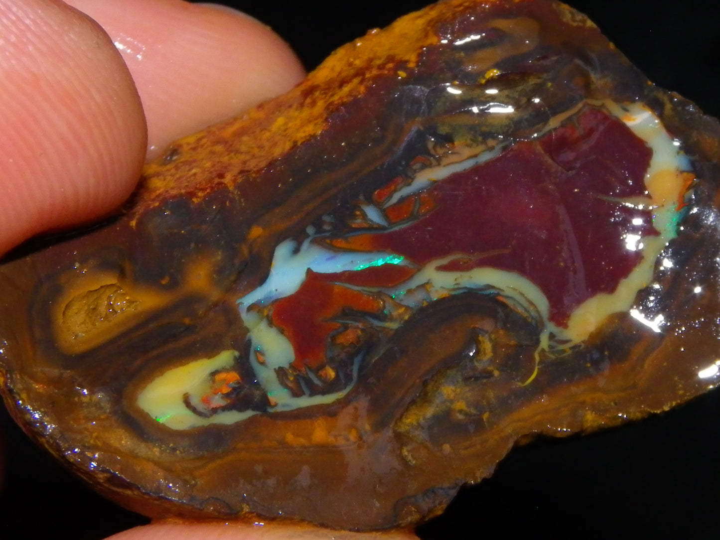 Nice Larger Rough/Sliced Koroit Opal Parcel 2645cts Lots of Patterns/Fires Australia