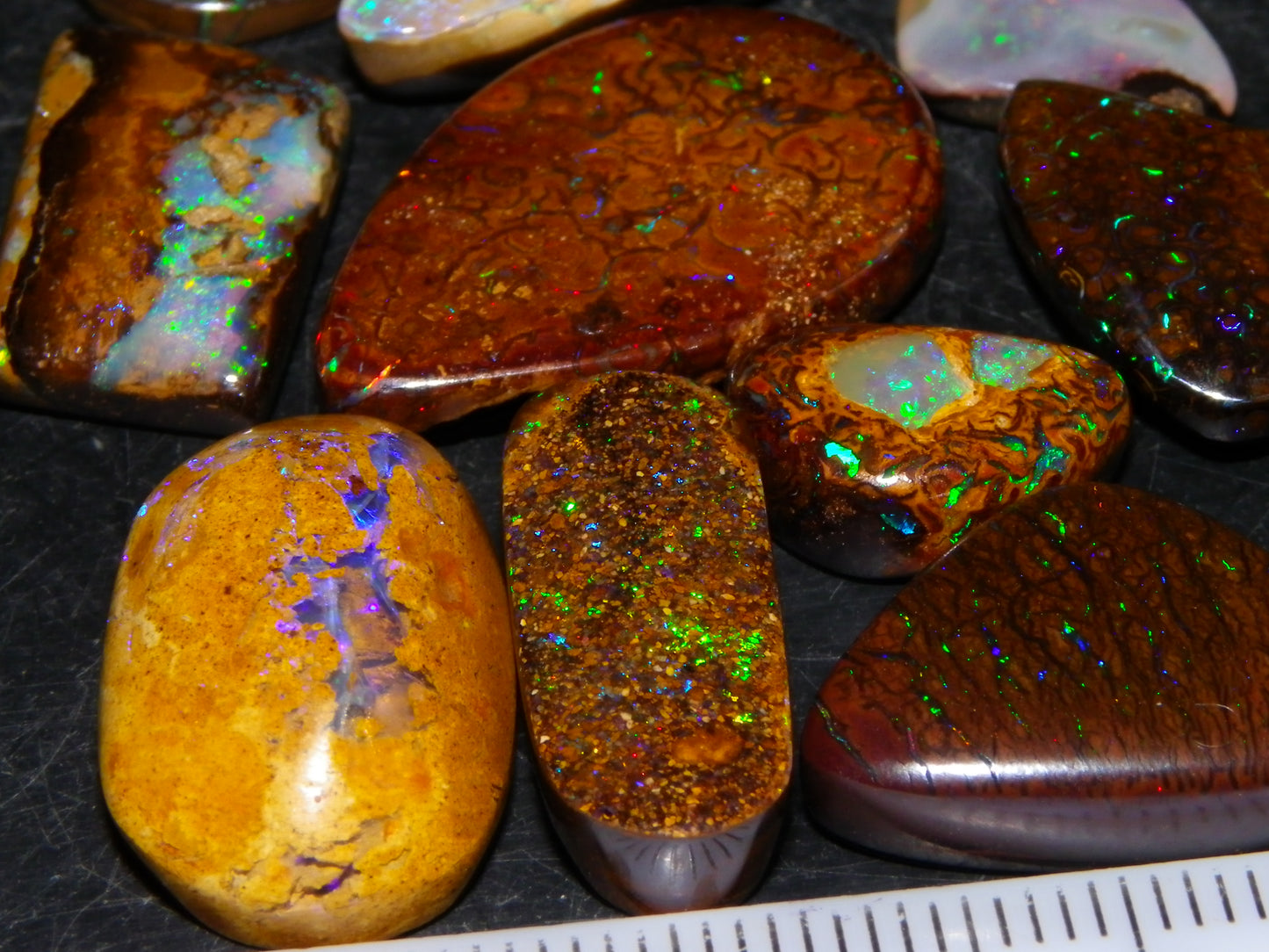 16 Cut/Polished Boulder/Koroit/Matrix Opal Cabs 192.5cts Fires/Patterns Australia