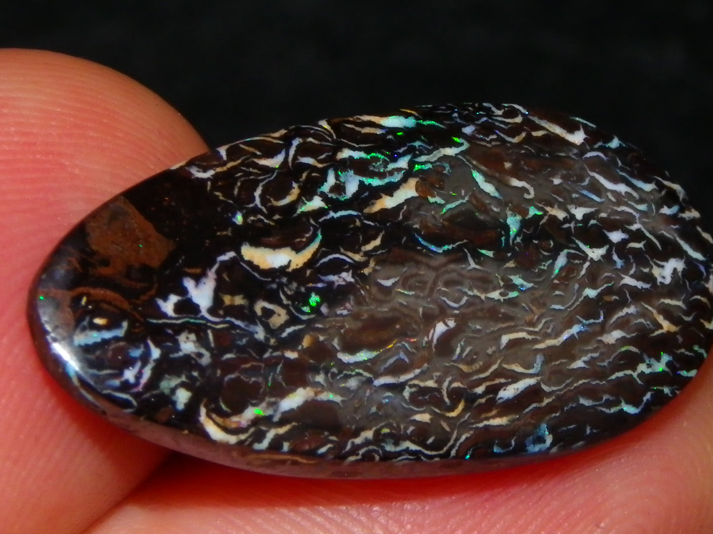16 Cut/Polished Boulder/Koroit/Matrix Opal Cabs 192.5cts Fires/Patterns Australia