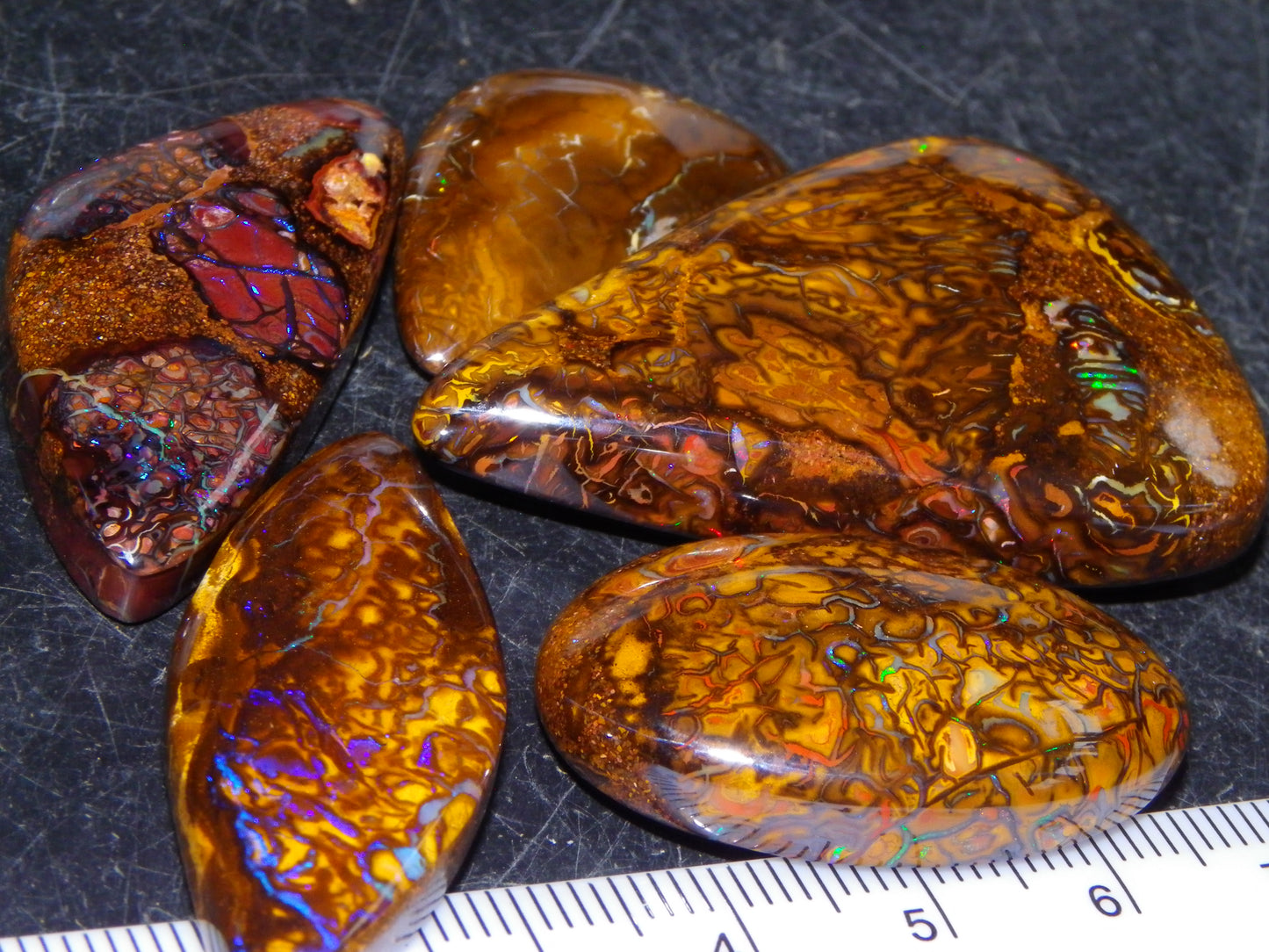 5 Nice Cut/Polished Koroit Opals 264cts Patterns/Fires Queensland Australia