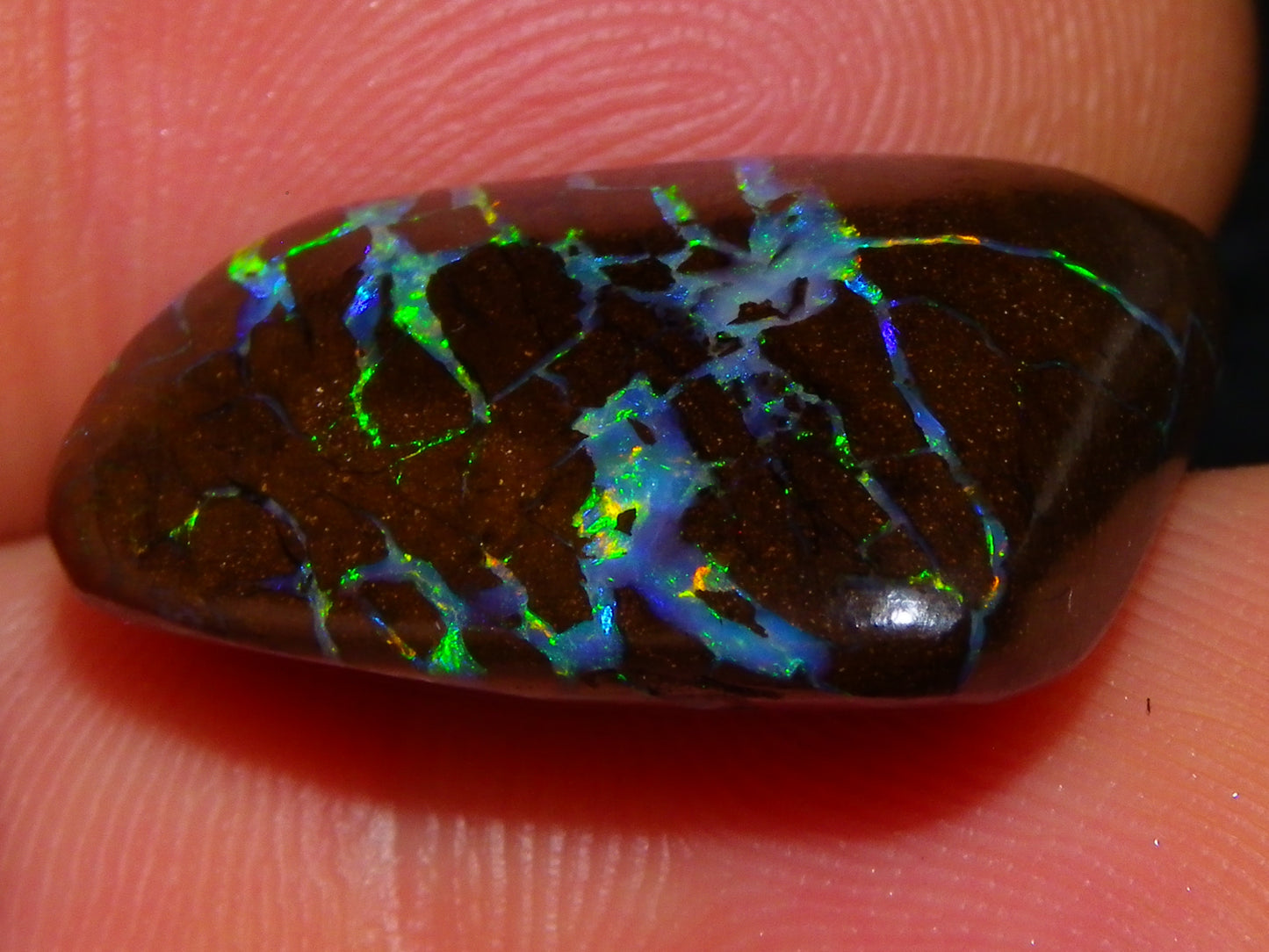 Quality Cut/Polished Boulder Opal Freeform Cab 29.63cts Opalton Queensland Australia Multicolours