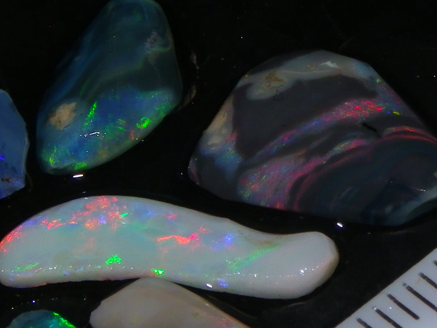 Nice Rubbed Gem Lightning Ridge Opal Parcel 15.24cts Multicolour MIxed Base Black/Grey/Light