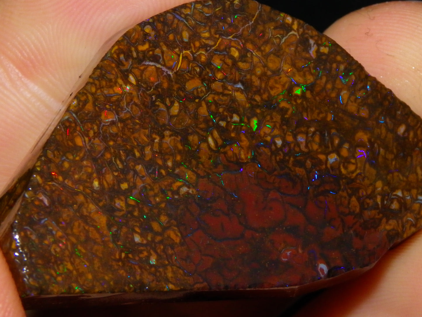 2 Nice Rubbed/Preform Koroit Opals 215.3cts Patterns/Fires Queensland Australia