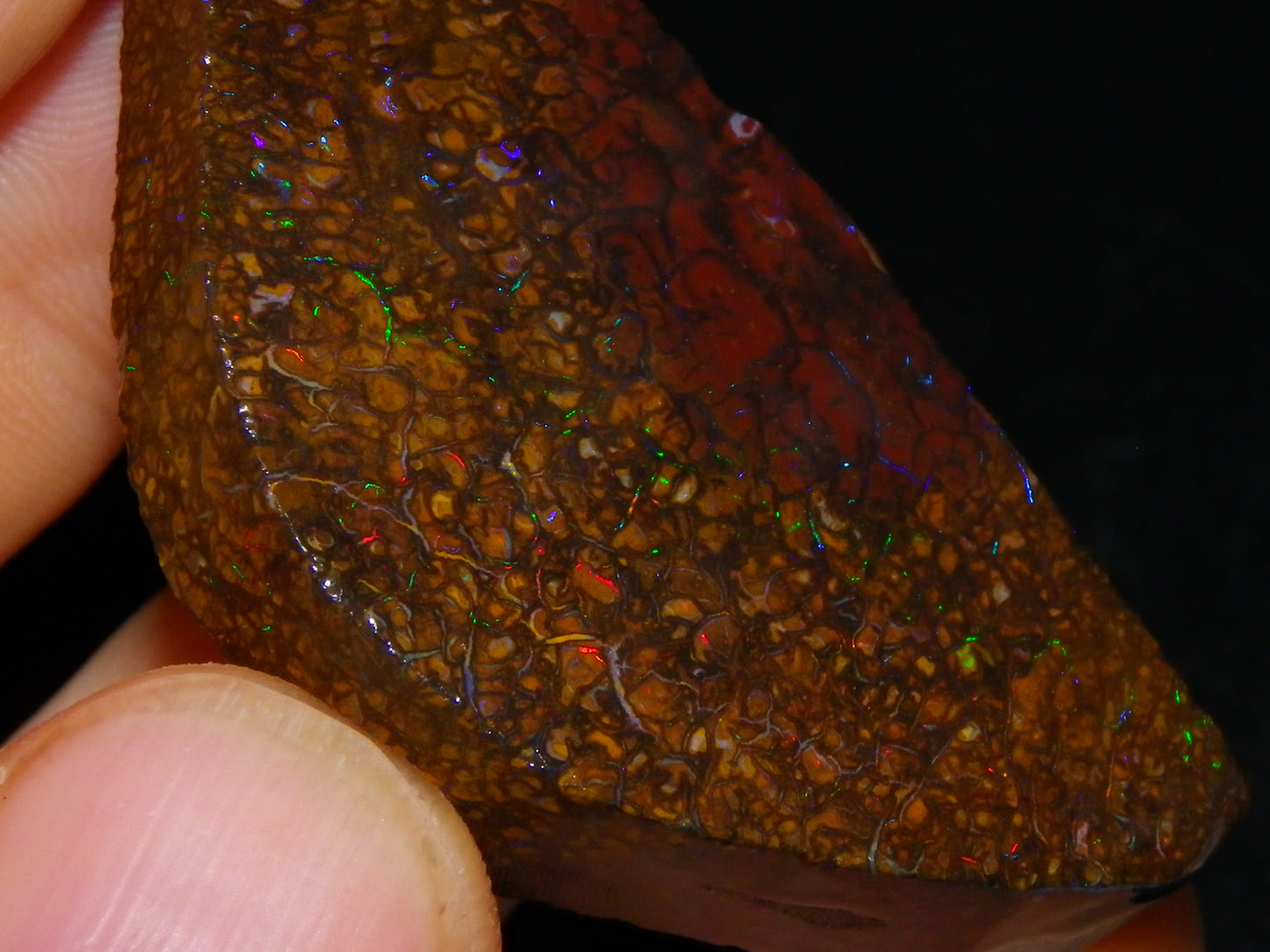 2 Nice Rubbed/Preform Koroit Opals 215.3cts Patterns/Fires Queensland Australia
