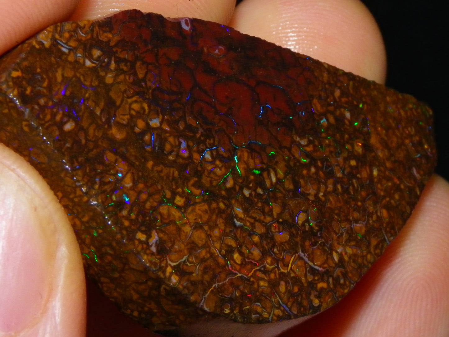 2 Nice Rubbed/Preform Koroit Opals 215.3cts Patterns/Fires Queensland Australia