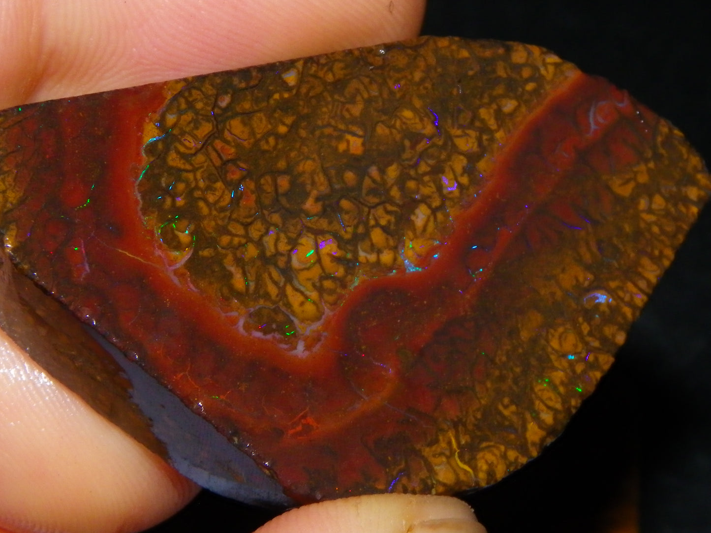 2 Nice Rubbed/Preform Koroit Opals 215.3cts Patterns/Fires Queensland Australia