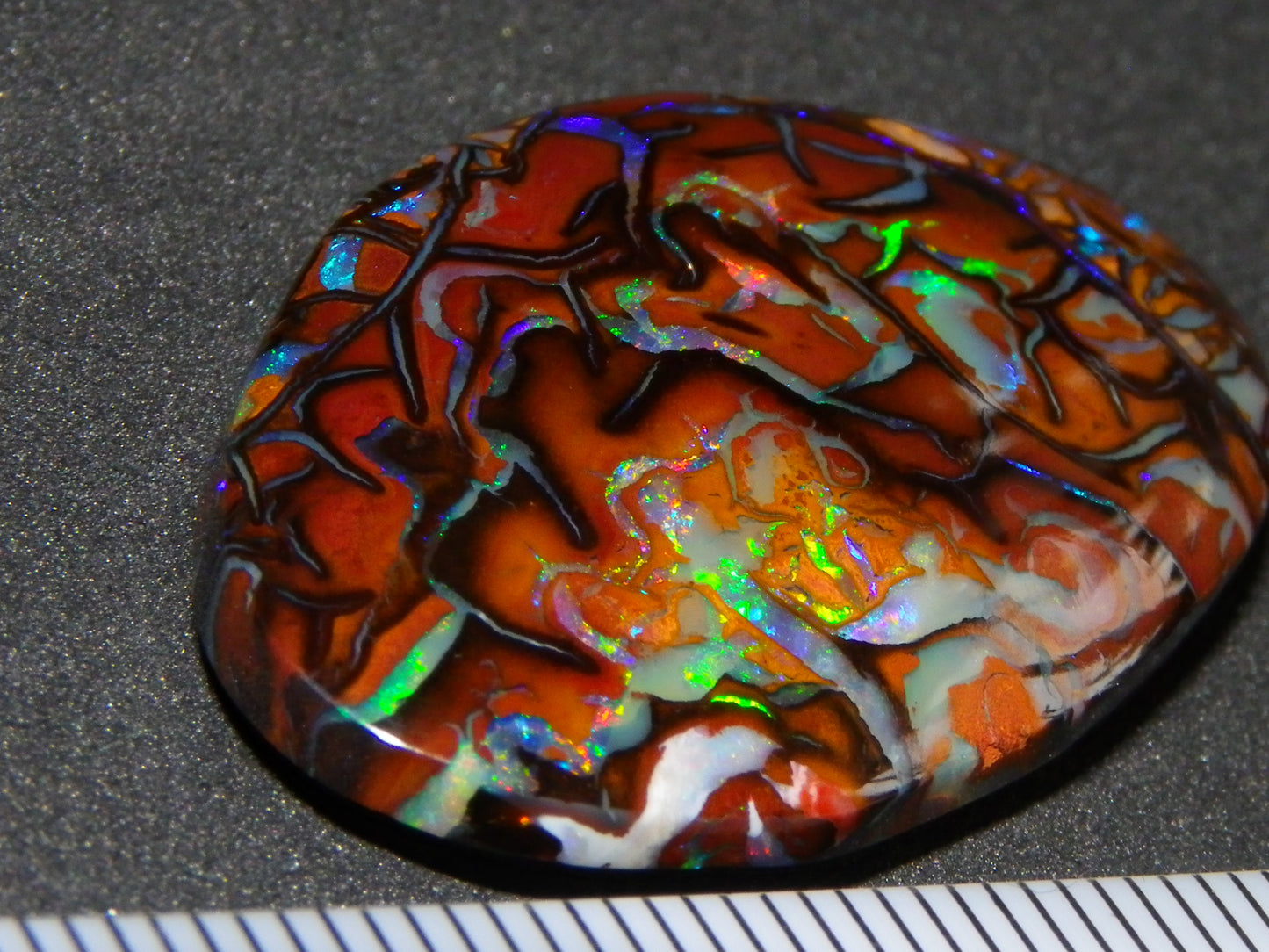 Quality Cut/Polished Koroit Opal Cab 33.78cts Double sided Pattern/Fires Queensland Australia