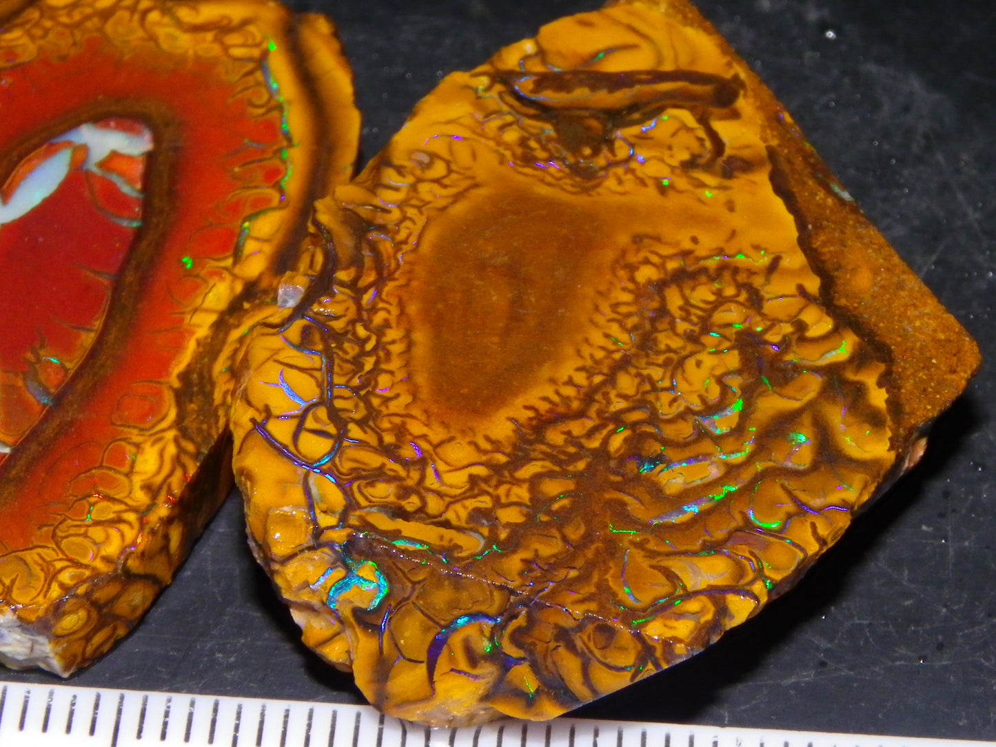 3 Nice Sliced Koroit Opal Rough/specimens 193.4cts Queensland Australia