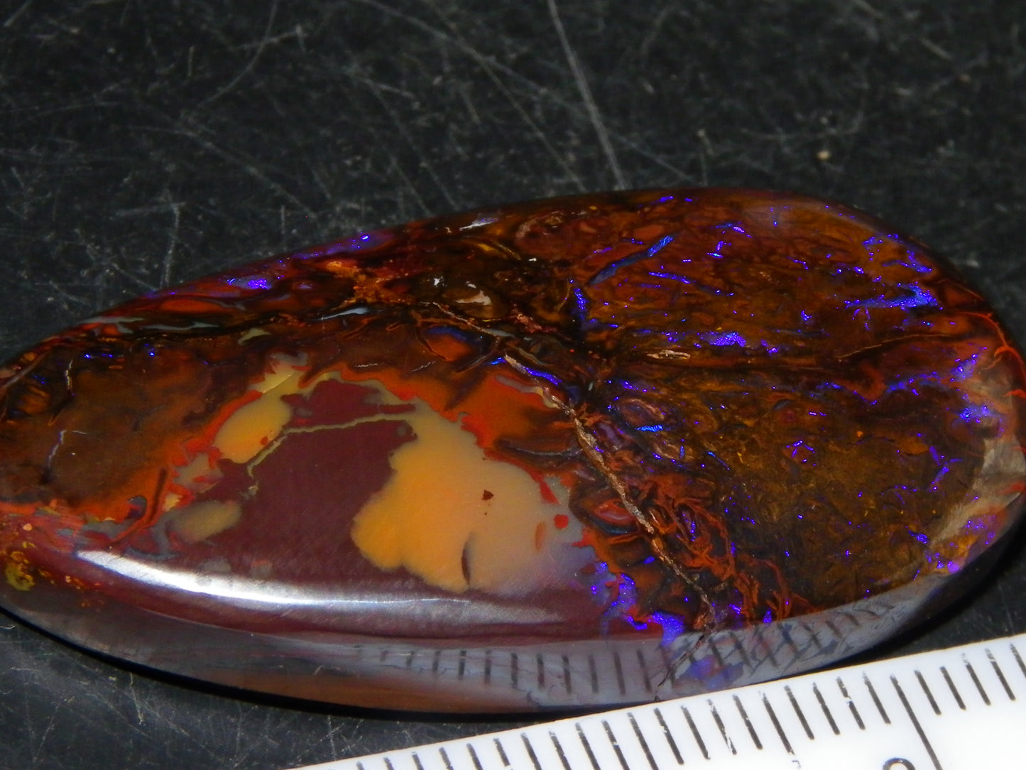 Nice Cut/Polished Koroit Opal Freeform 61.2cts Blue/Purple Fires/Patterns Qld Australia