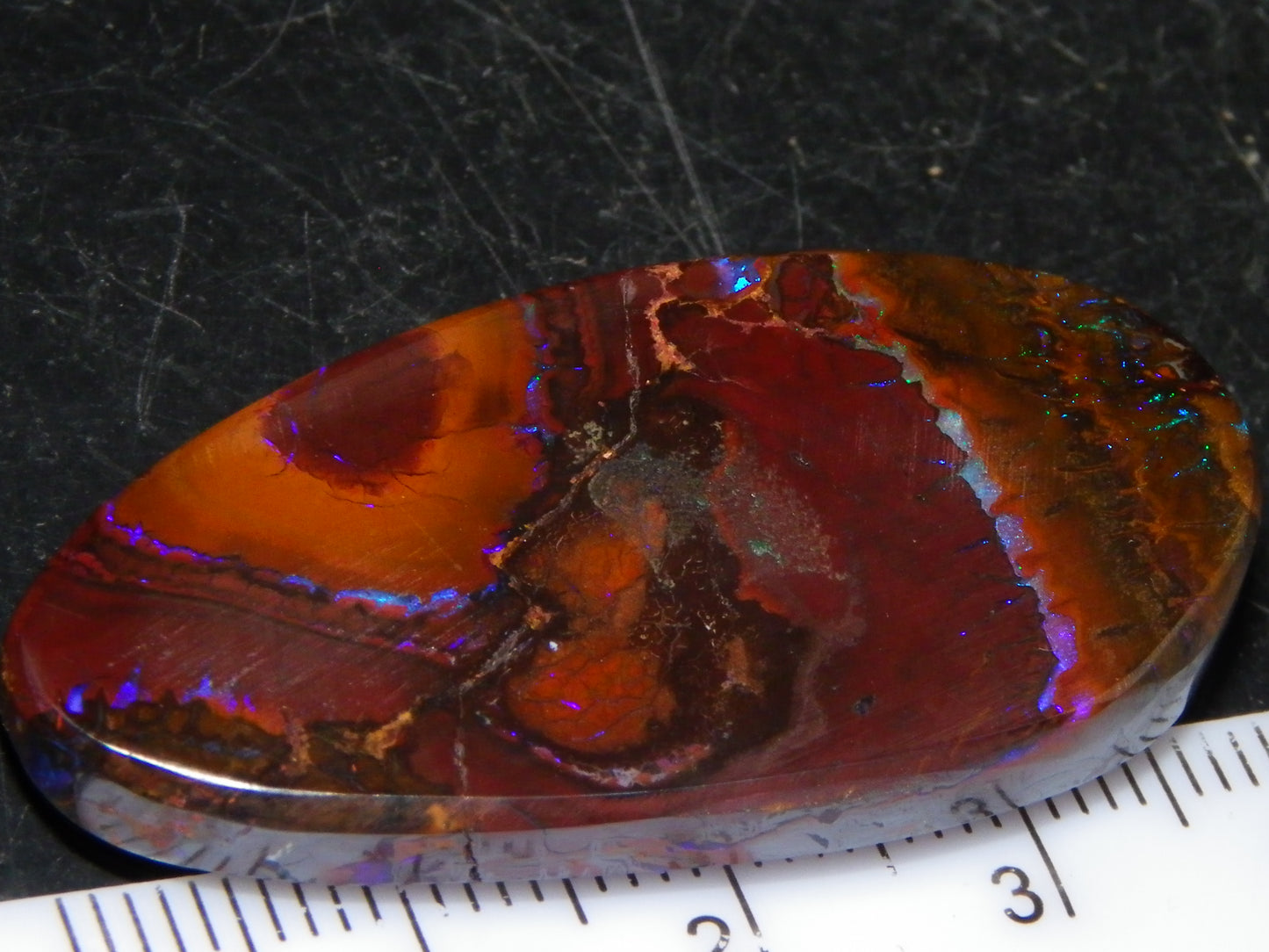 Nice Cut/Polished Koroit Opal Freeform 61.2cts Blue/Purple Fires/Patterns Qld Australia