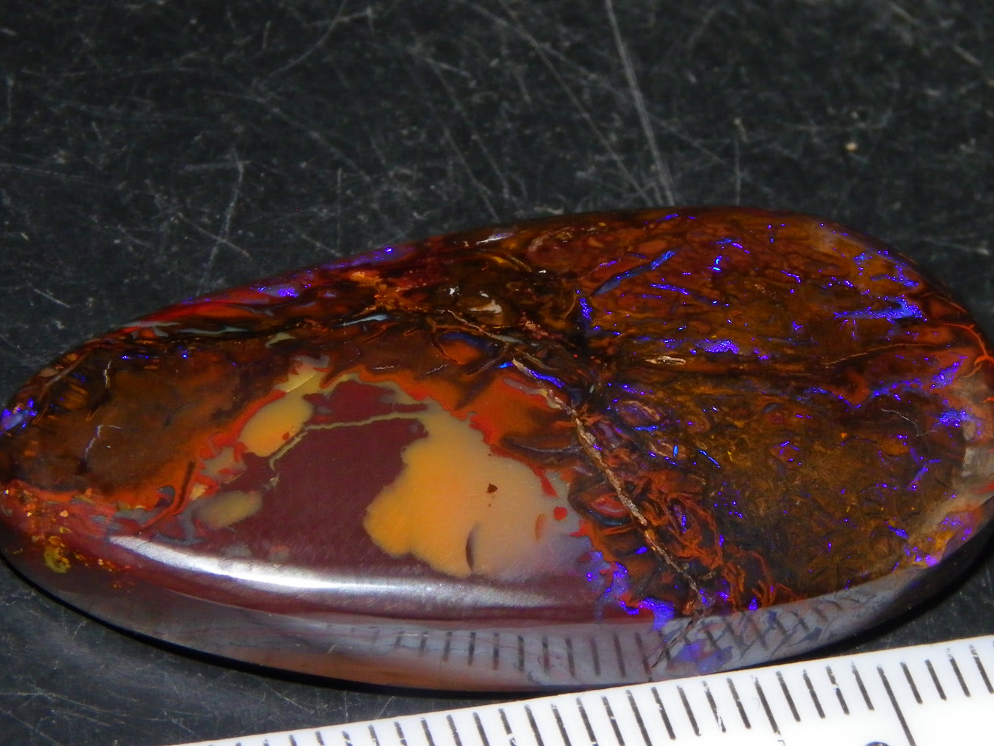 Nice Cut/Polished Koroit Opal Freeform 61.2cts Blue/Purple Fires/Patterns Qld Australia