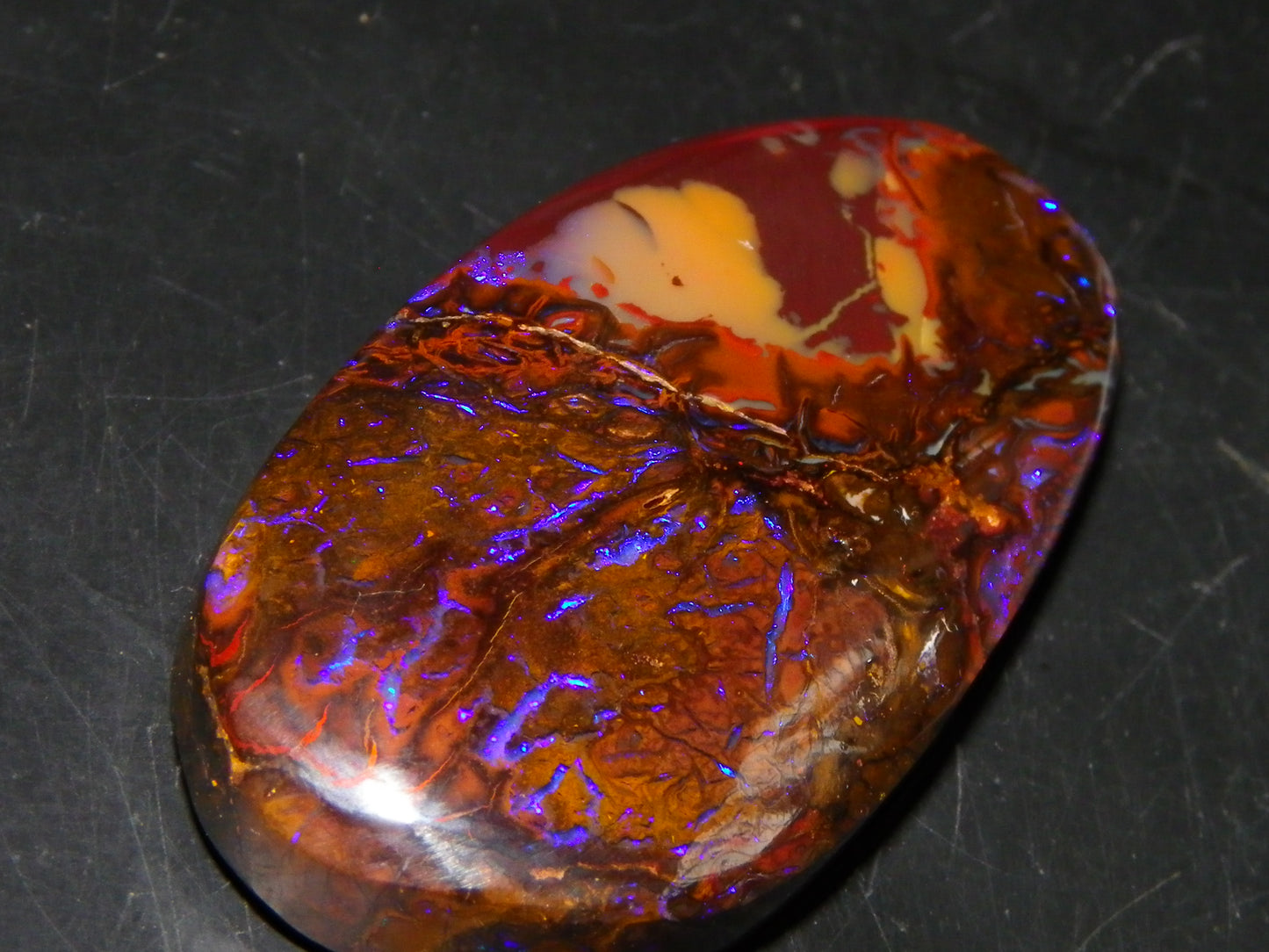 Nice Cut/Polished Koroit Opal Freeform 61.2cts Blue/Purple Fires/Patterns Qld Australia