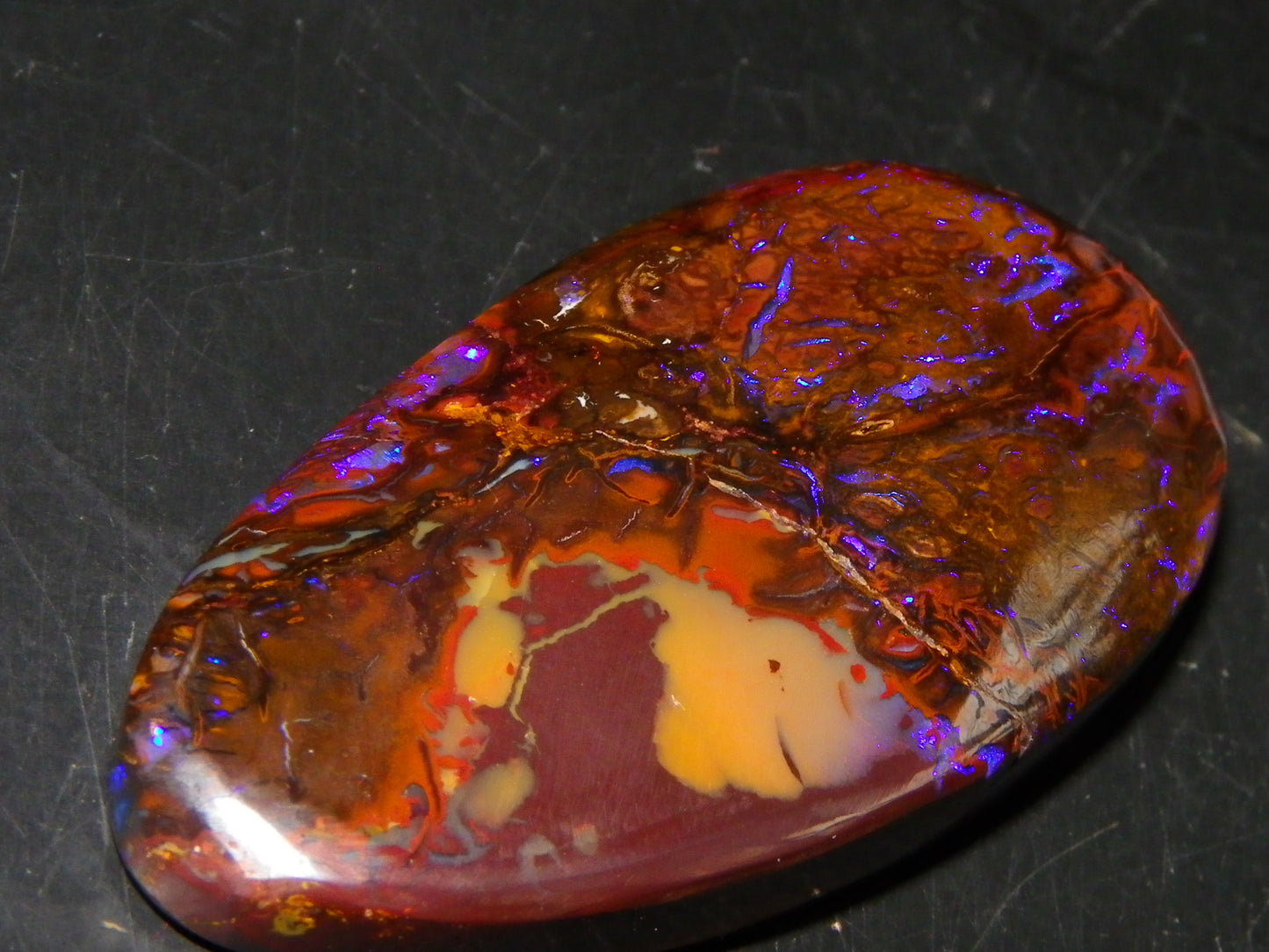 Nice Cut/Polished Koroit Opal Freeform 61.2cts Blue/Purple Fires/Patterns Qld Australia