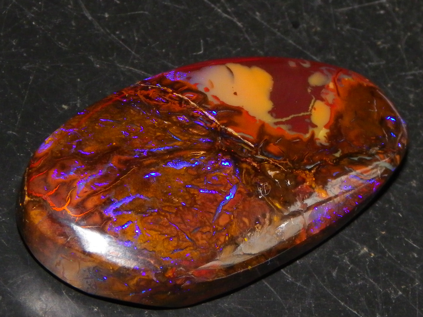 Nice Cut/Polished Koroit Opal Freeform 61.2cts Blue/Purple Fires/Patterns Qld Australia