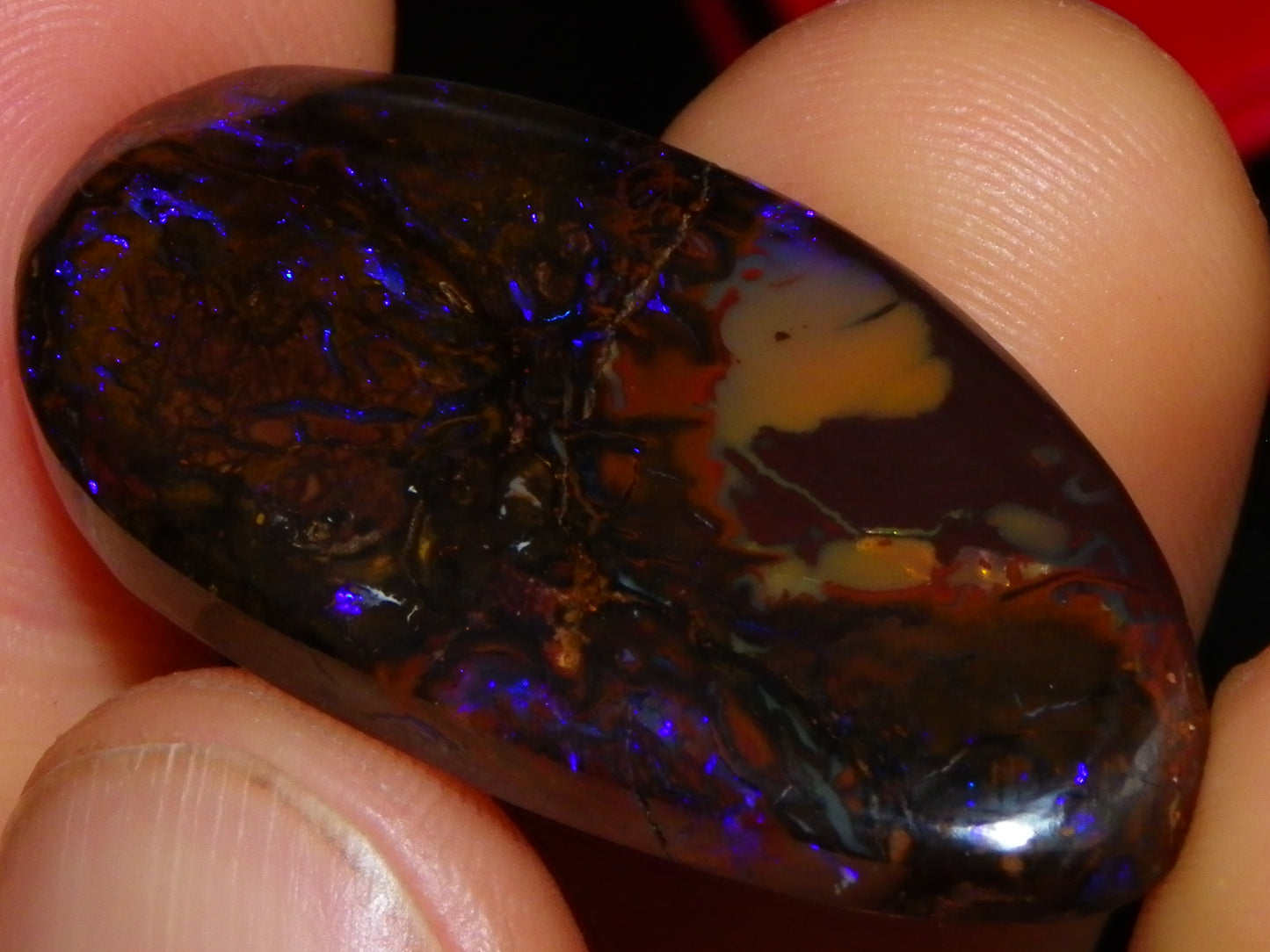 Nice Cut/Polished Koroit Opal Freeform 61.2cts Blue/Purple Fires/Patterns Qld Australia