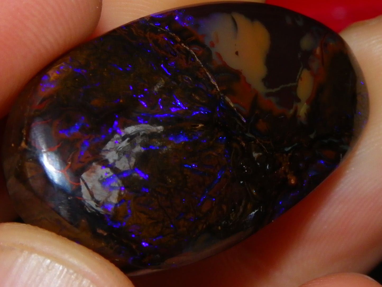 Nice Cut/Polished Koroit Opal Freeform 61.2cts Blue/Purple Fires/Patterns Qld Australia