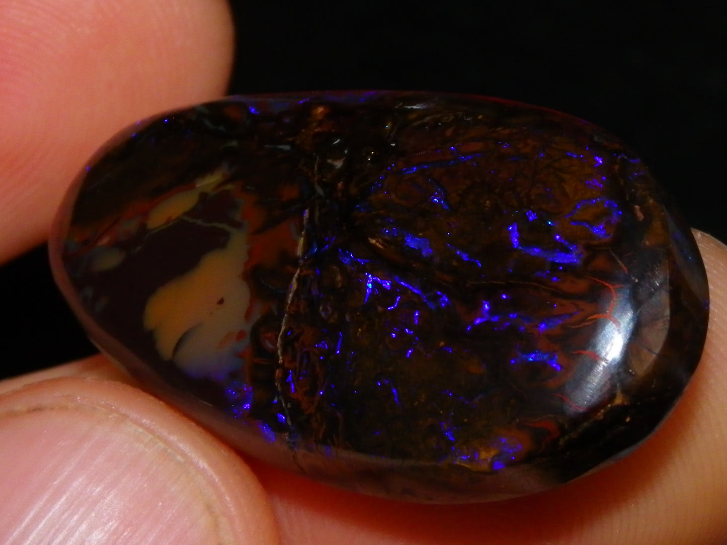 Nice Cut/Polished Koroit Opal Freeform 61.2cts Blue/Purple Fires/Patterns Qld Australia