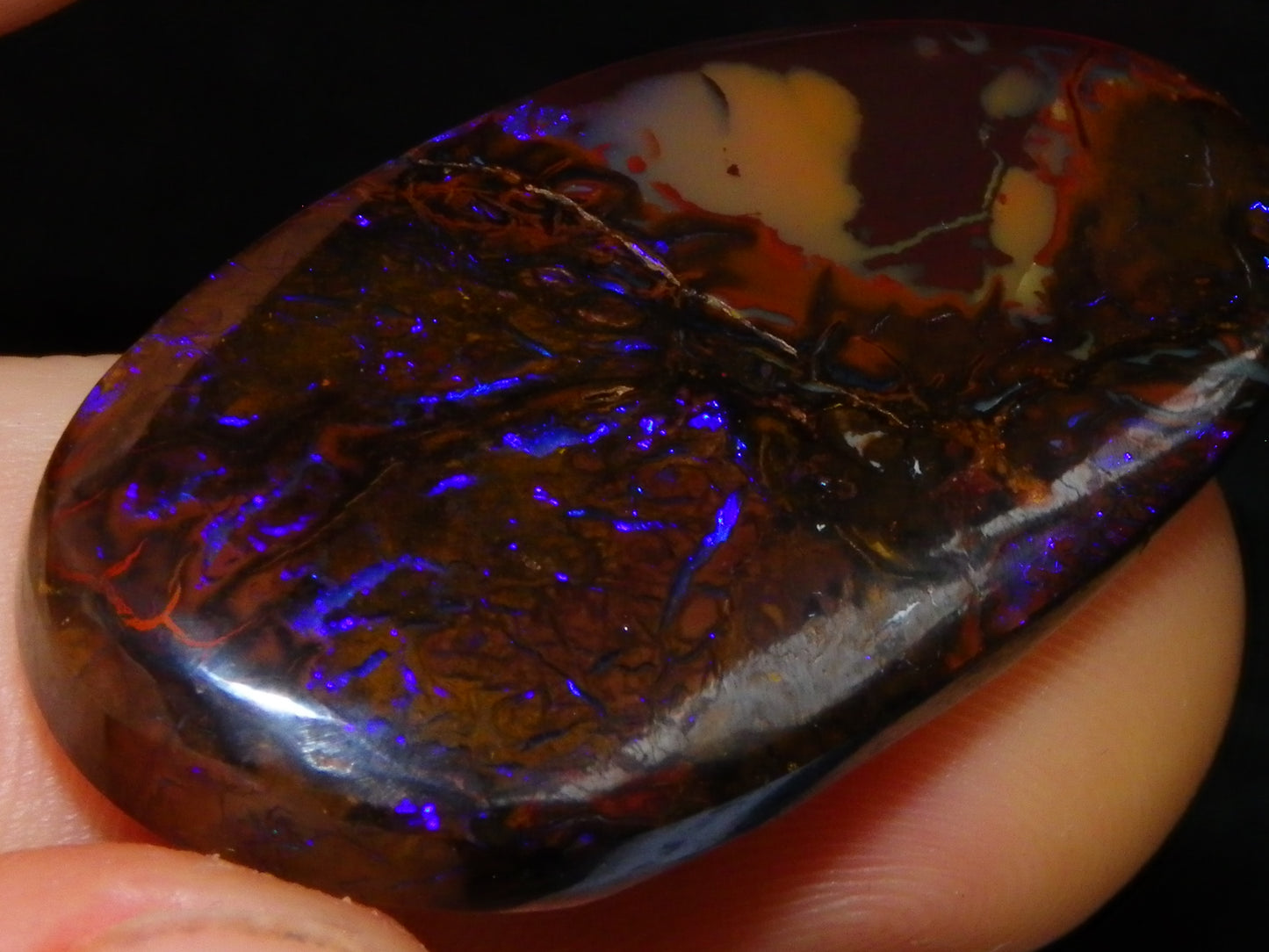 Nice Cut/Polished Koroit Opal Freeform 61.2cts Blue/Purple Fires/Patterns Qld Australia