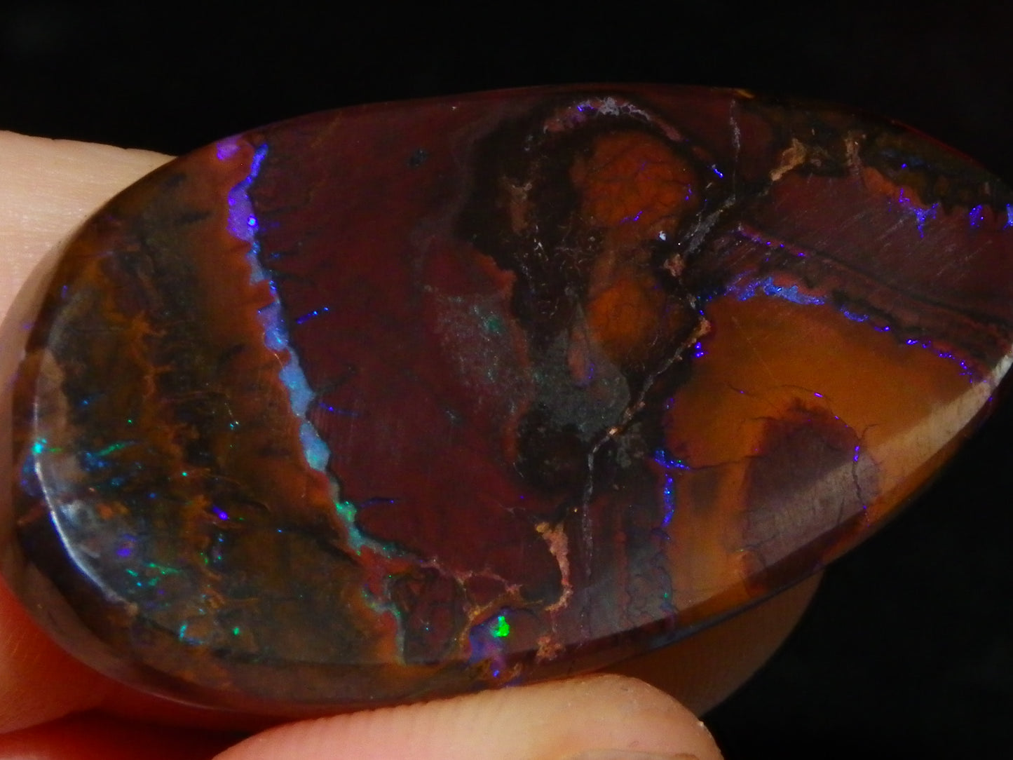 Nice Cut/Polished Koroit Opal Freeform 61.2cts Blue/Purple Fires/Patterns Qld Australia