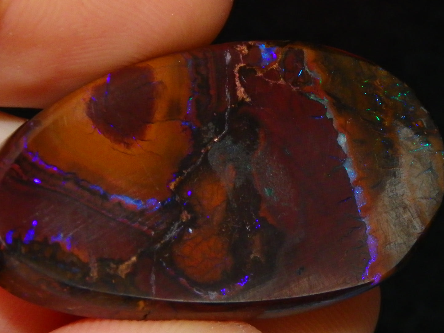 Nice Cut/Polished Koroit Opal Freeform 61.2cts Blue/Purple Fires/Patterns Qld Australia