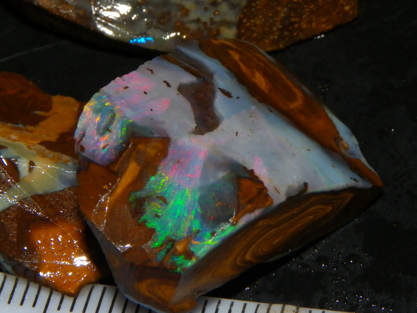NIce Rough Boulder Opals/Rubbed Specimens 455cts Queensland Australia Fires
