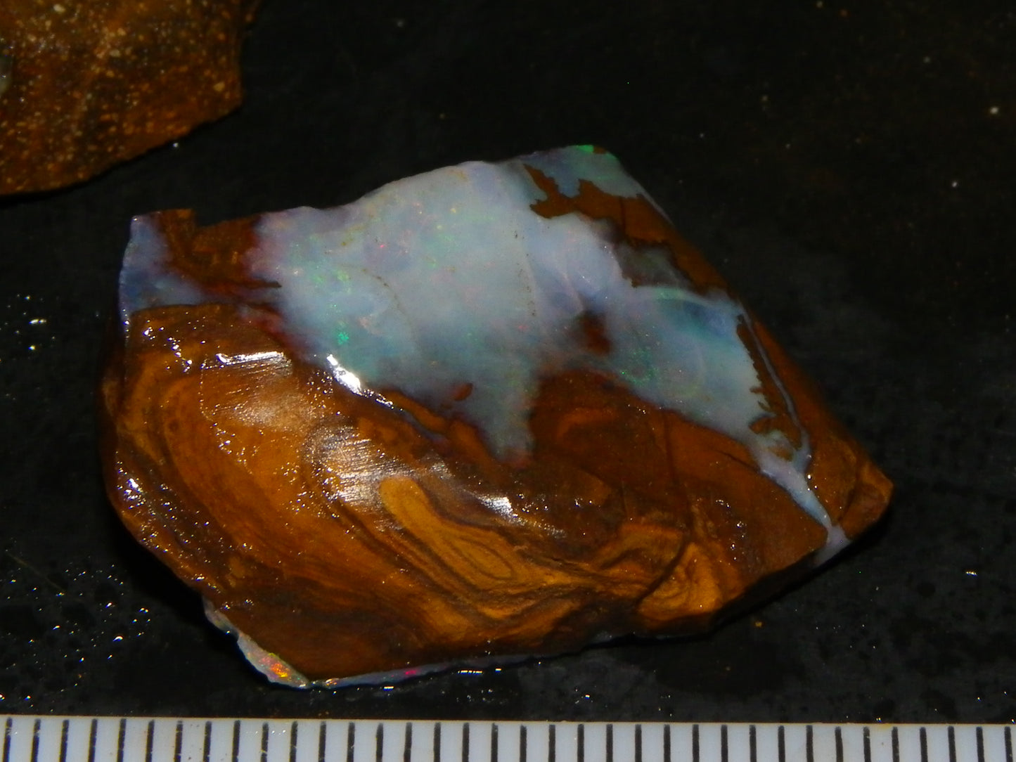 NIce Rough Boulder Opals/Rubbed Specimens 455cts Queensland Australia Fires