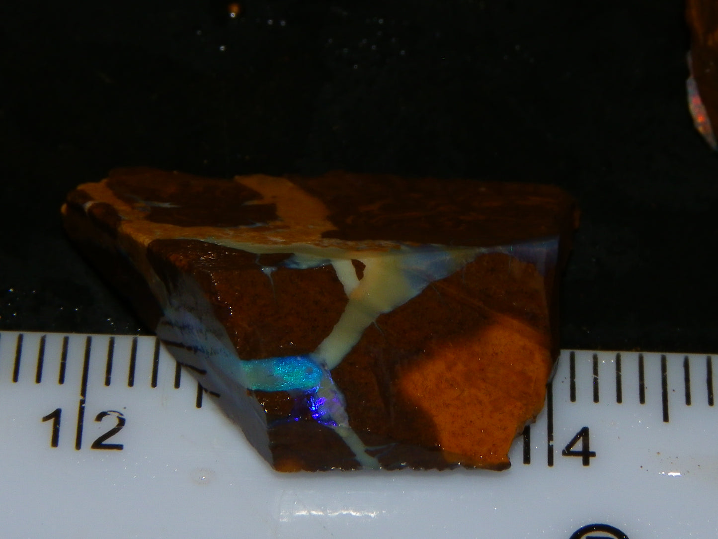 NIce Rough Boulder Opals/Rubbed Specimens 455cts Queensland Australia Fires
