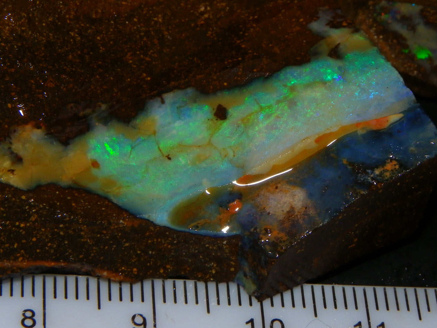 NIce Rough Boulder Opals/Rubbed Specimens 455cts Queensland Australia Fires