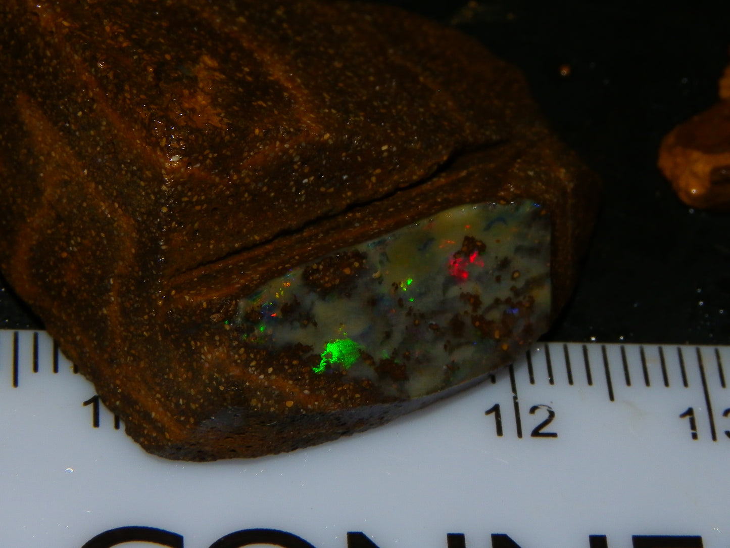 NIce Rough Boulder Opals/Rubbed Specimens 455cts Queensland Australia Fires