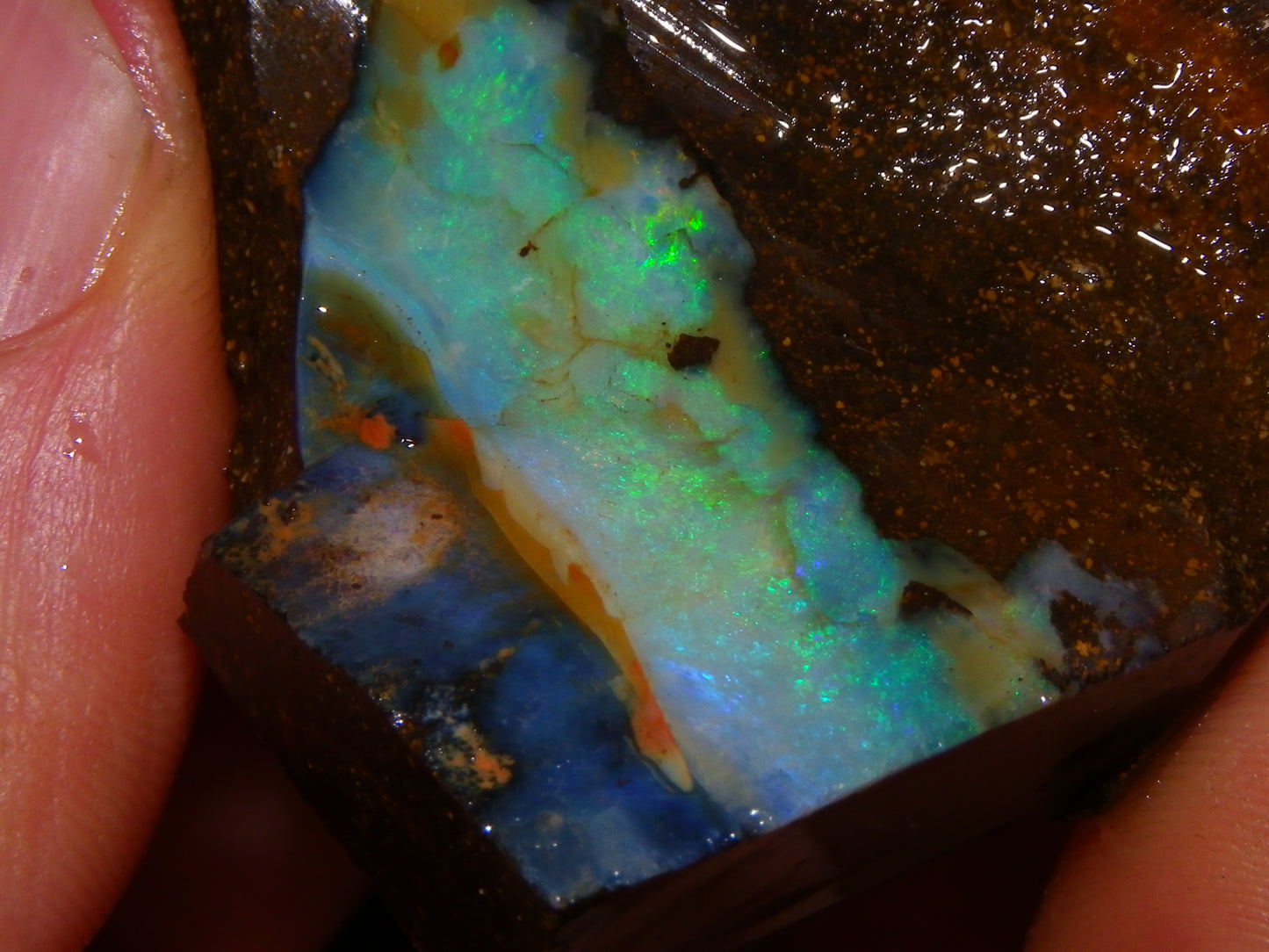 NIce Rough Boulder Opals/Rubbed Specimens 455cts Queensland Australia Fires