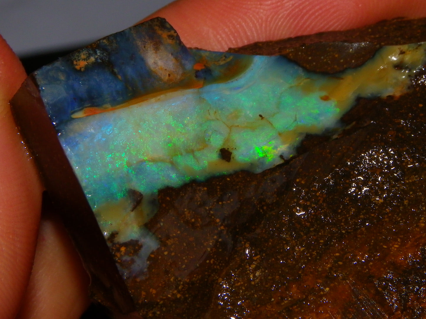 NIce Rough Boulder Opals/Rubbed Specimens 455cts Queensland Australia Fires